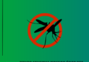 Estado confirma terceiro óbito por Dengue em Tenente Portela